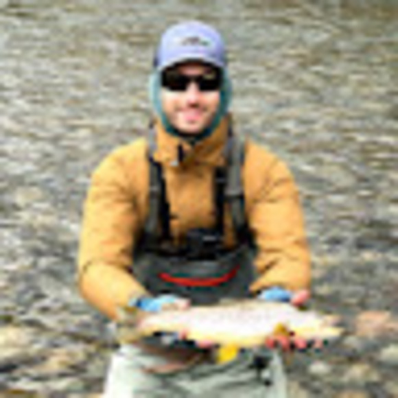 Meet your Posher, David - Picture 1 of 1